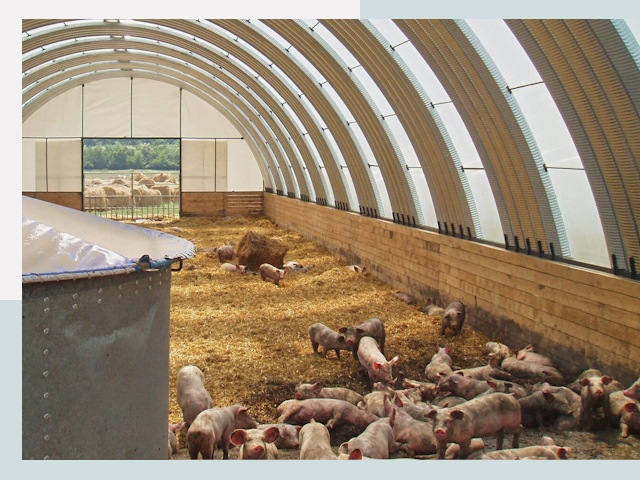 Строительство свинарников в Петропавловске-Камчатском