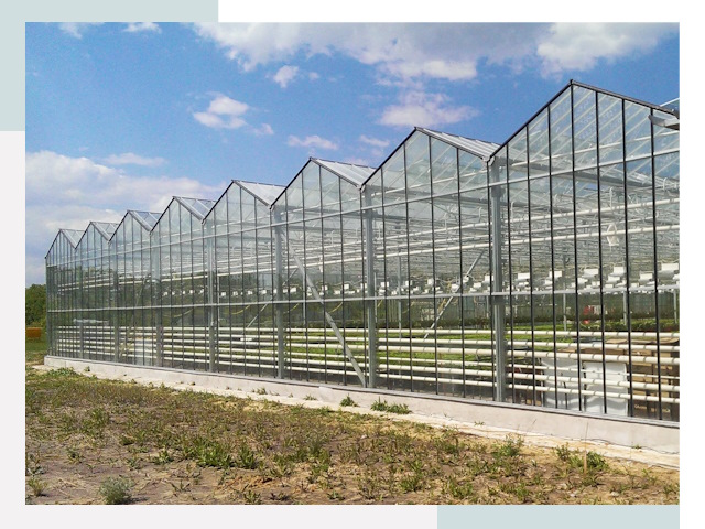 Строительство теплиц в Петропавловск-Камчатский от 622 руб. за м²